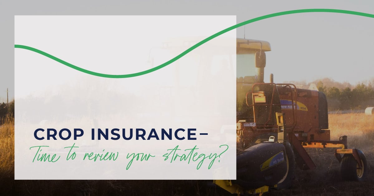 Agrifocused Blog Feature Images_Blog 3 - Crop Insurance